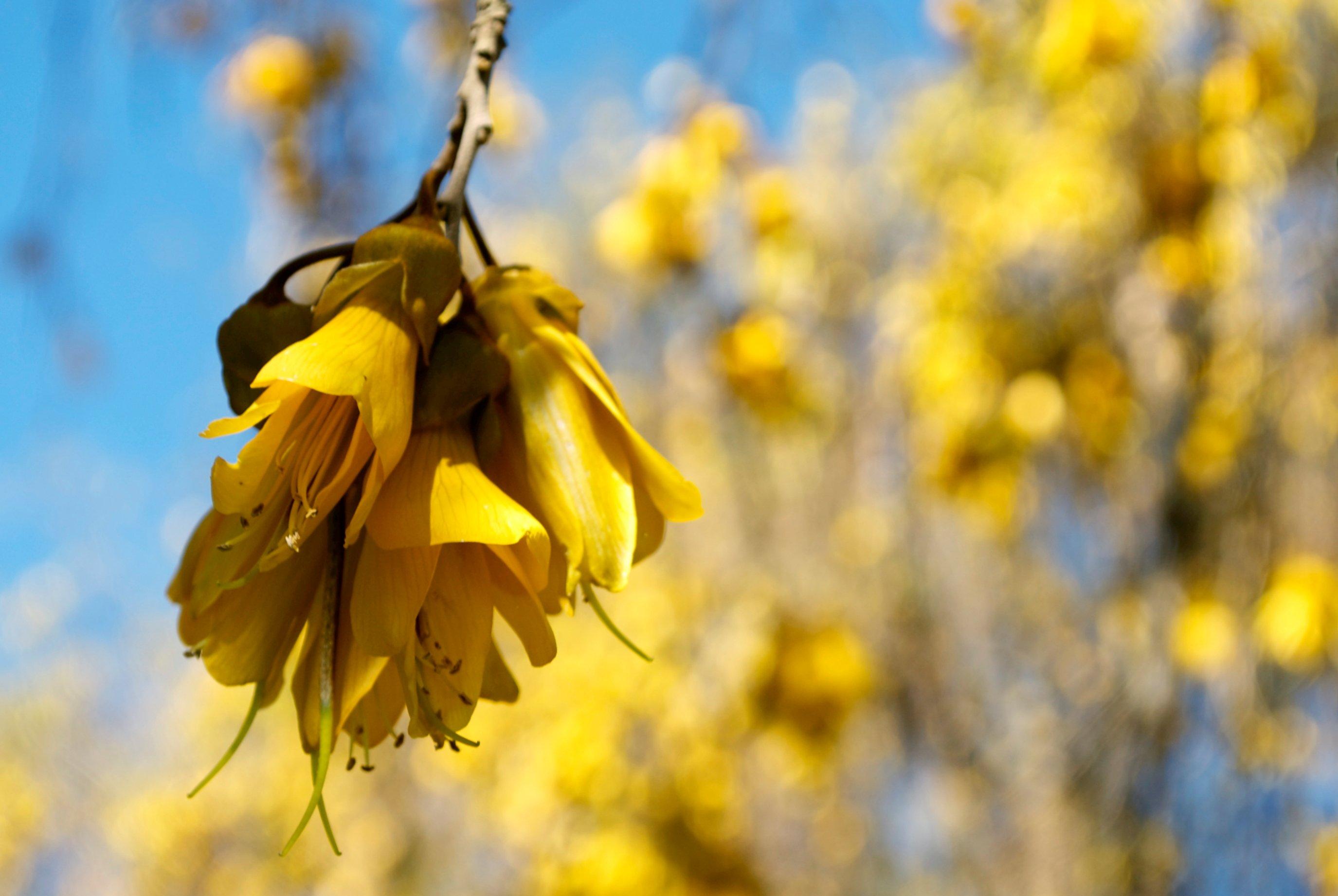 GettyImages-464543530