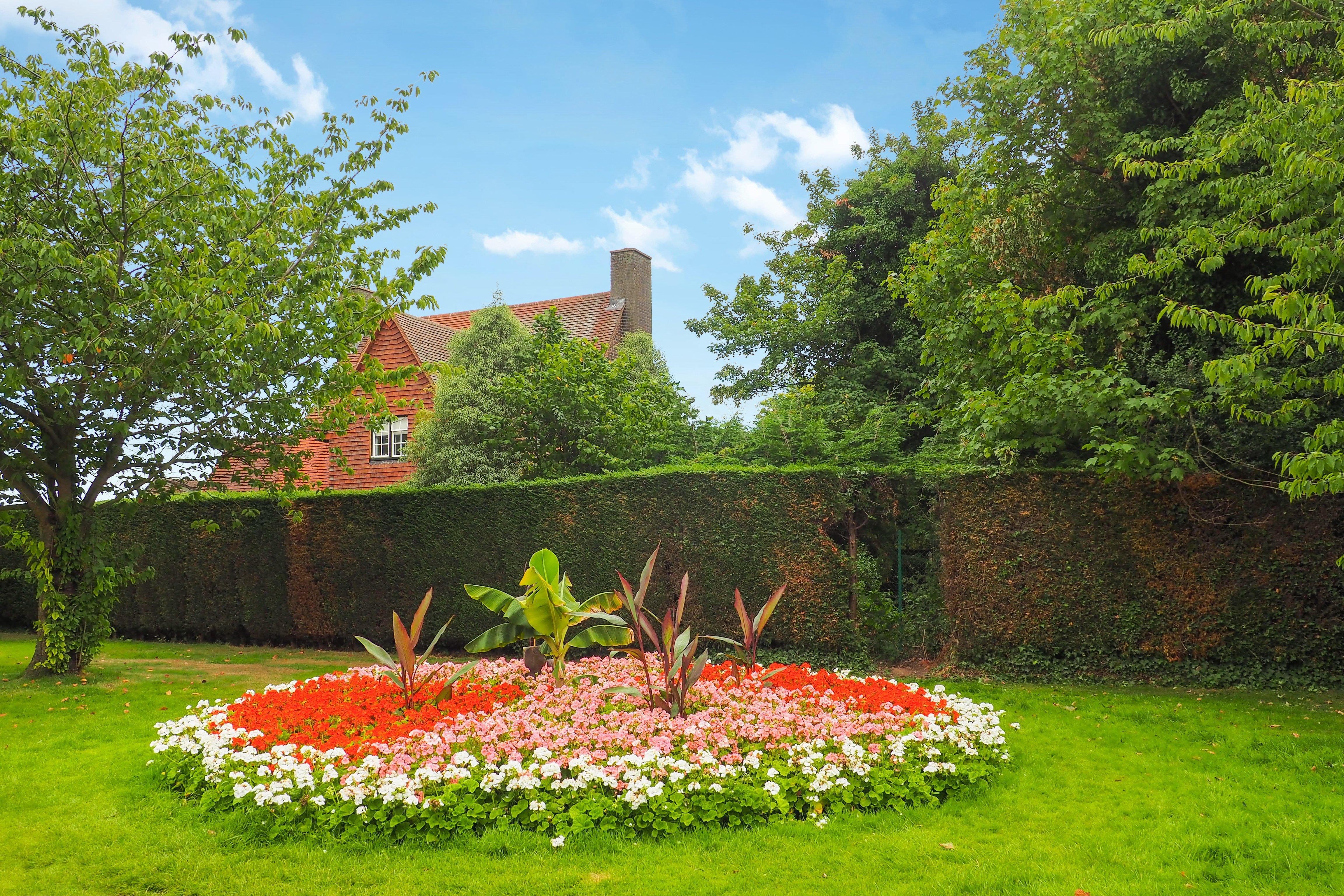 Greenwich Park Rose Garden