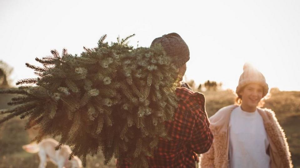 How-to-recycle-christmas-tree-2-1