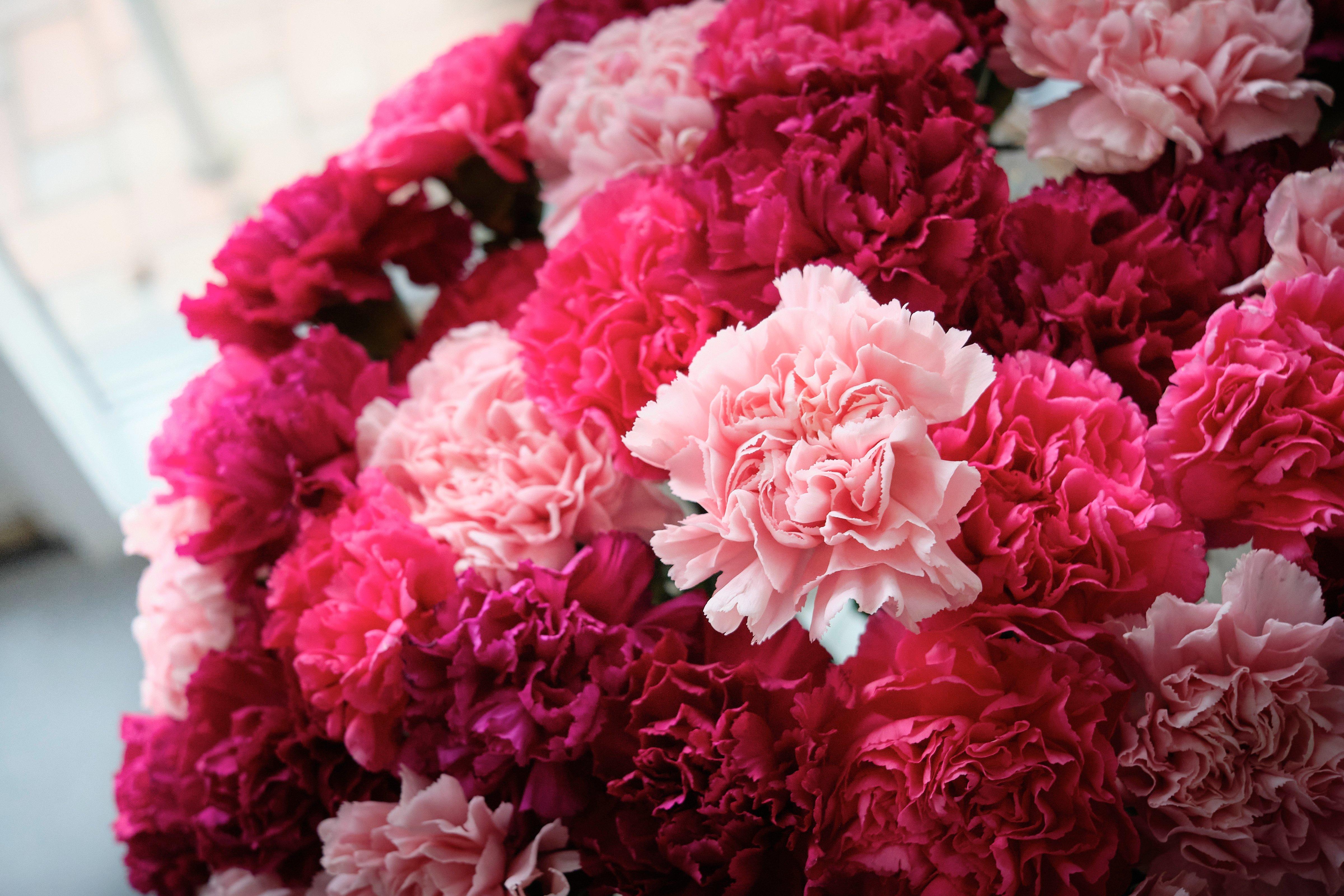 INTERFLORA060121-0648