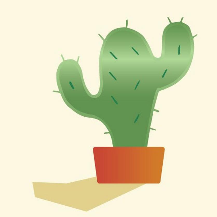 Indoor_Cactus
