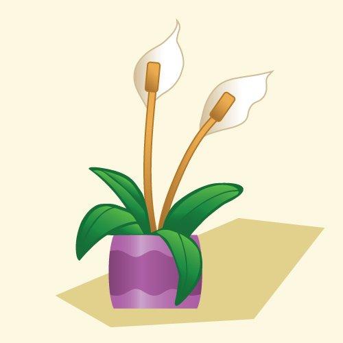 Indoor_PeaceLilyTestV2