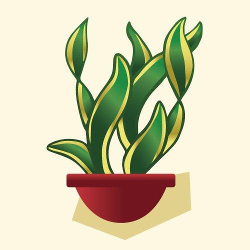 Indoor_SnackePlantTestV21