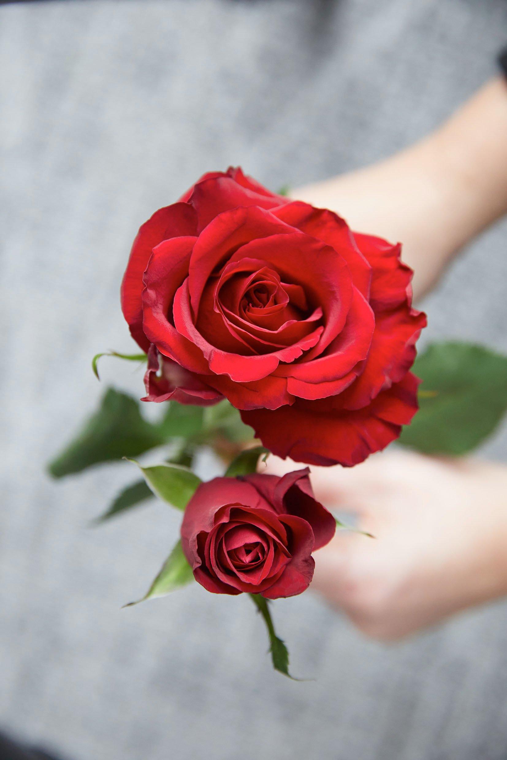 Inflo141220-2042(RET(F)