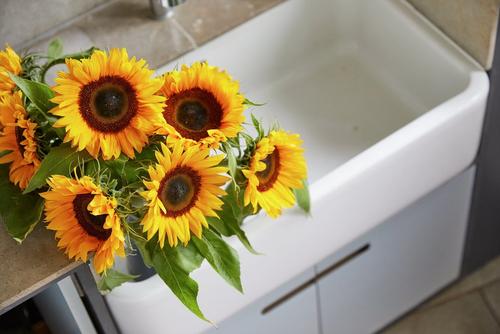 IntFlo-FFNew2020-0175