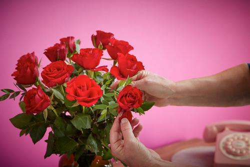 Interflora091023-GUARD_PETAL