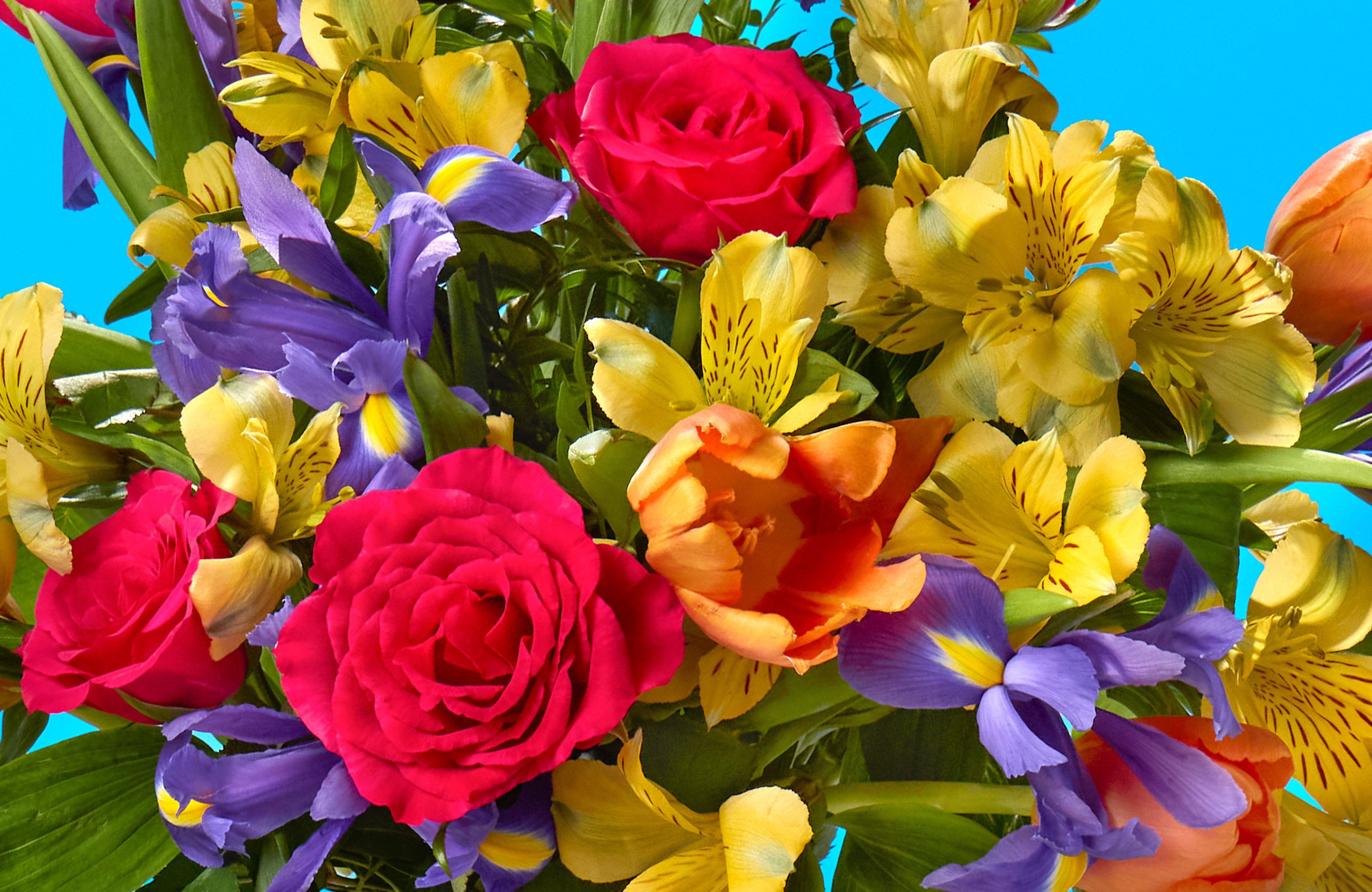 Mothers-day-spotlight-FF