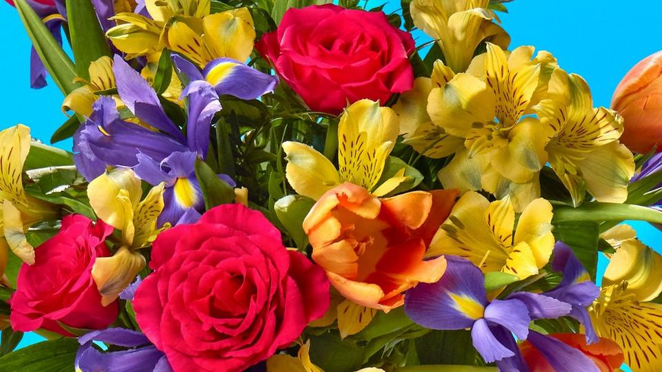 Mothers-day-spotlight-FF