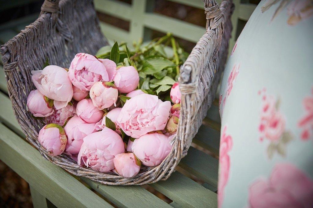 Peonies-Pink-Bouquet
