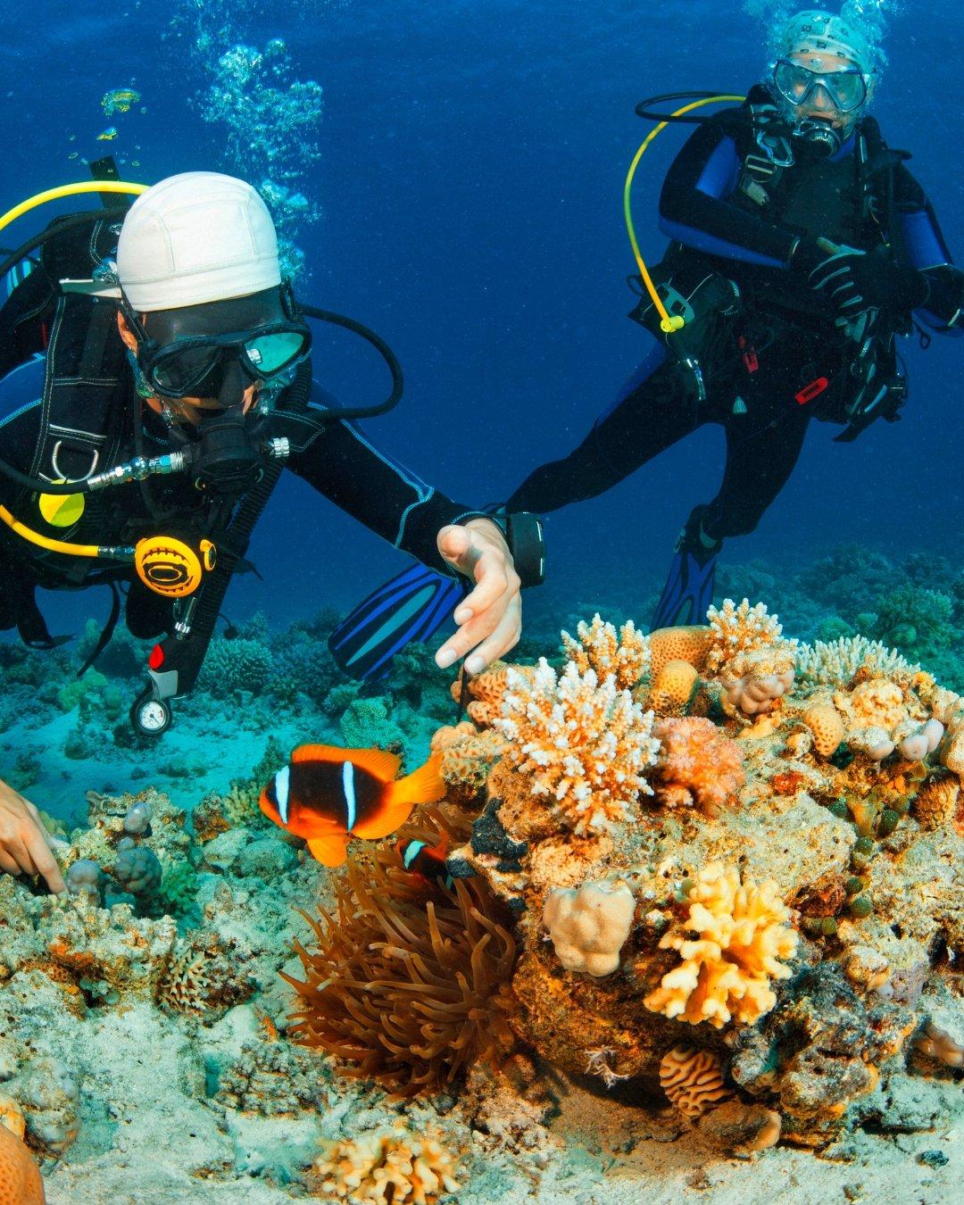 Scuba Diving