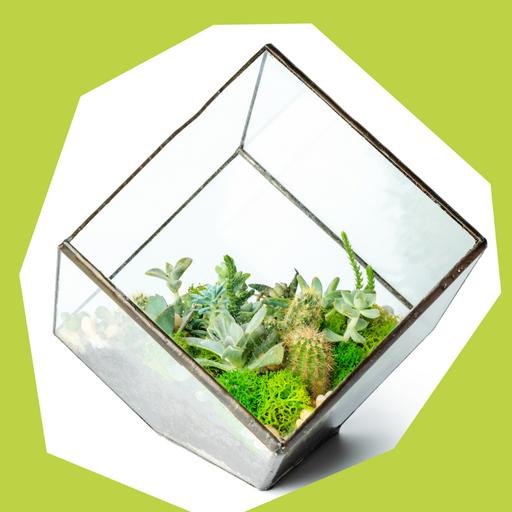 TERRARIUM_1