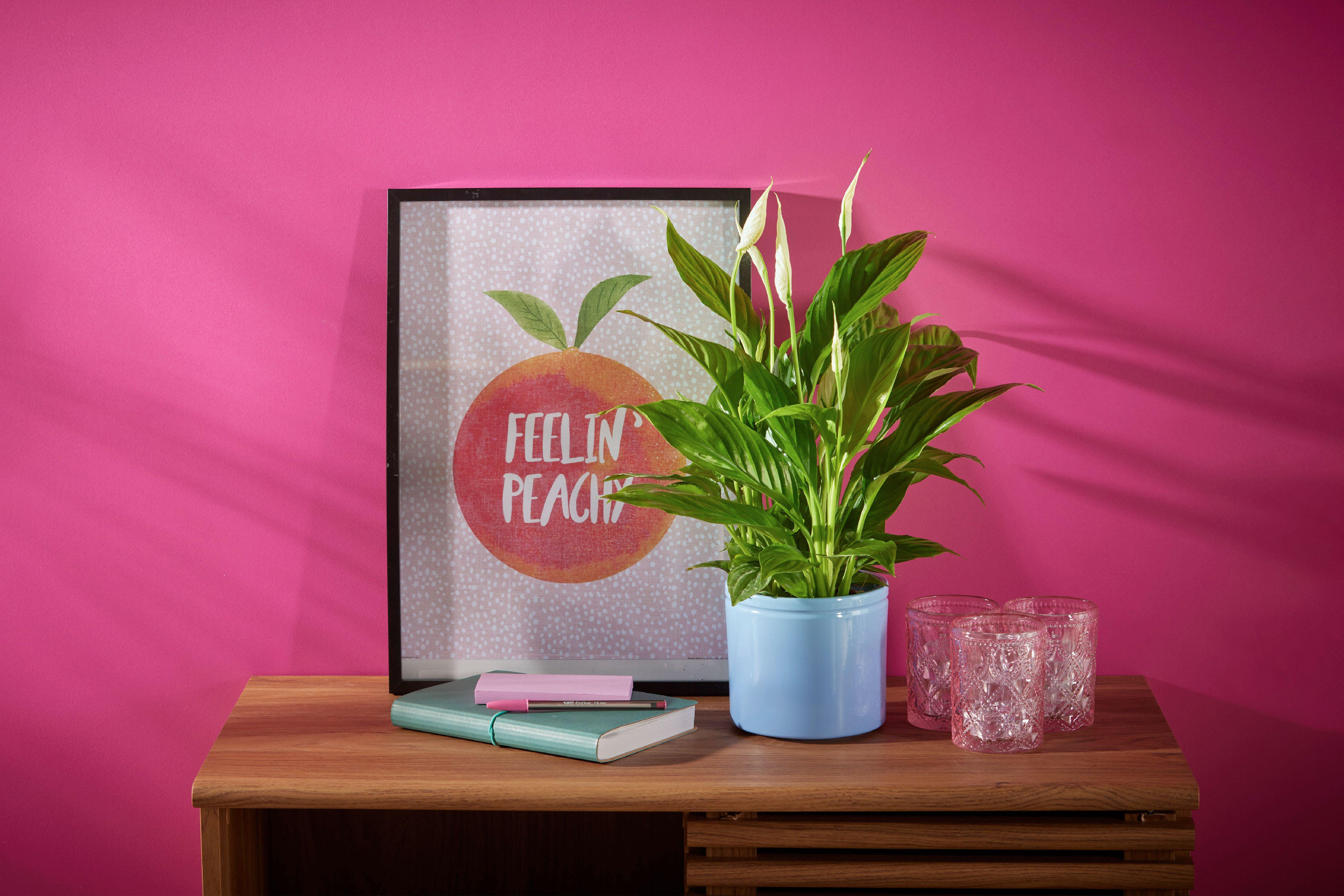 all-plants-header-ff