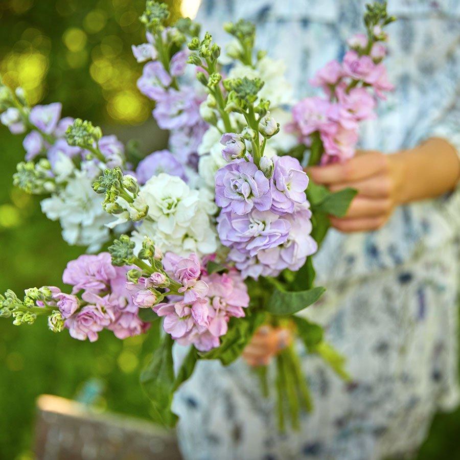 british-flowers-ff-5