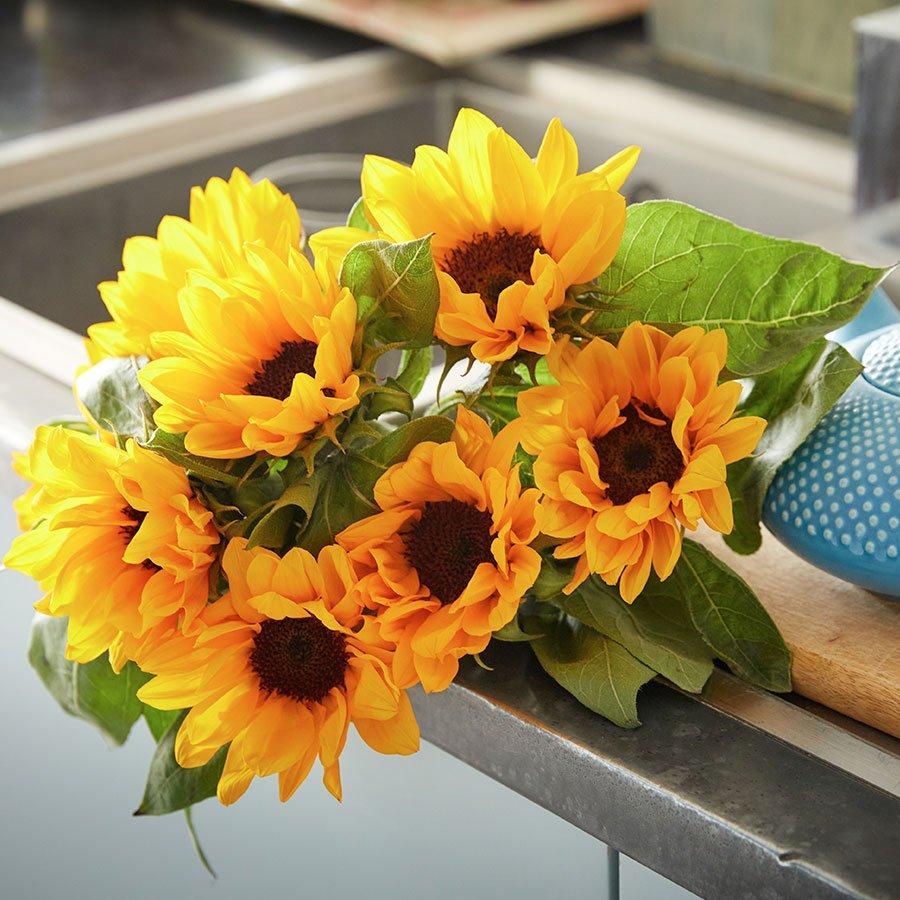 british-flowers-ff-6