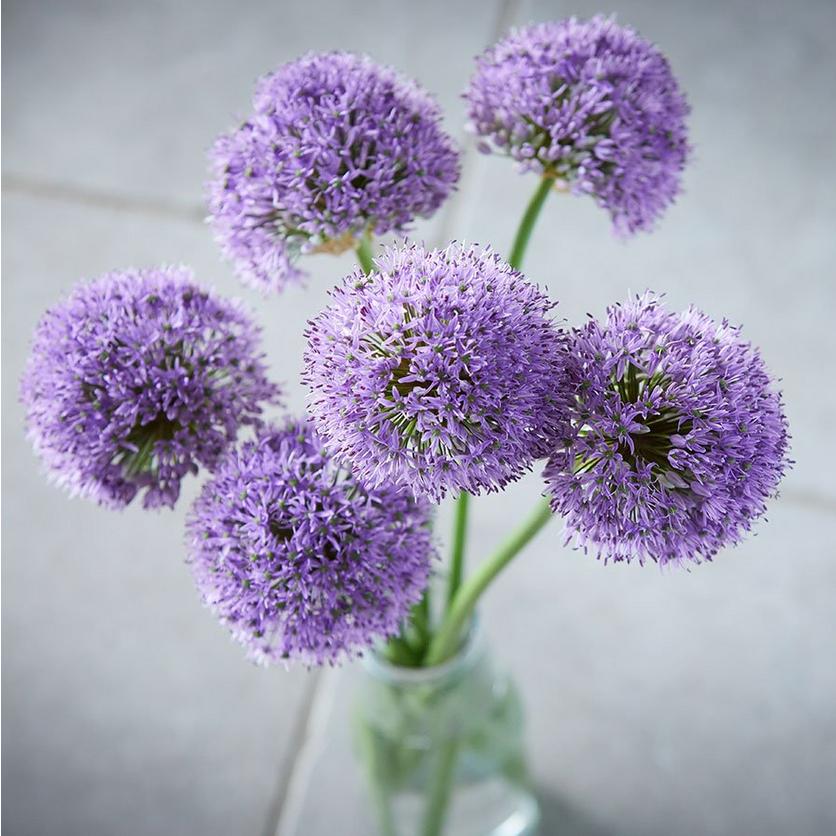 british-flowers-ff-7