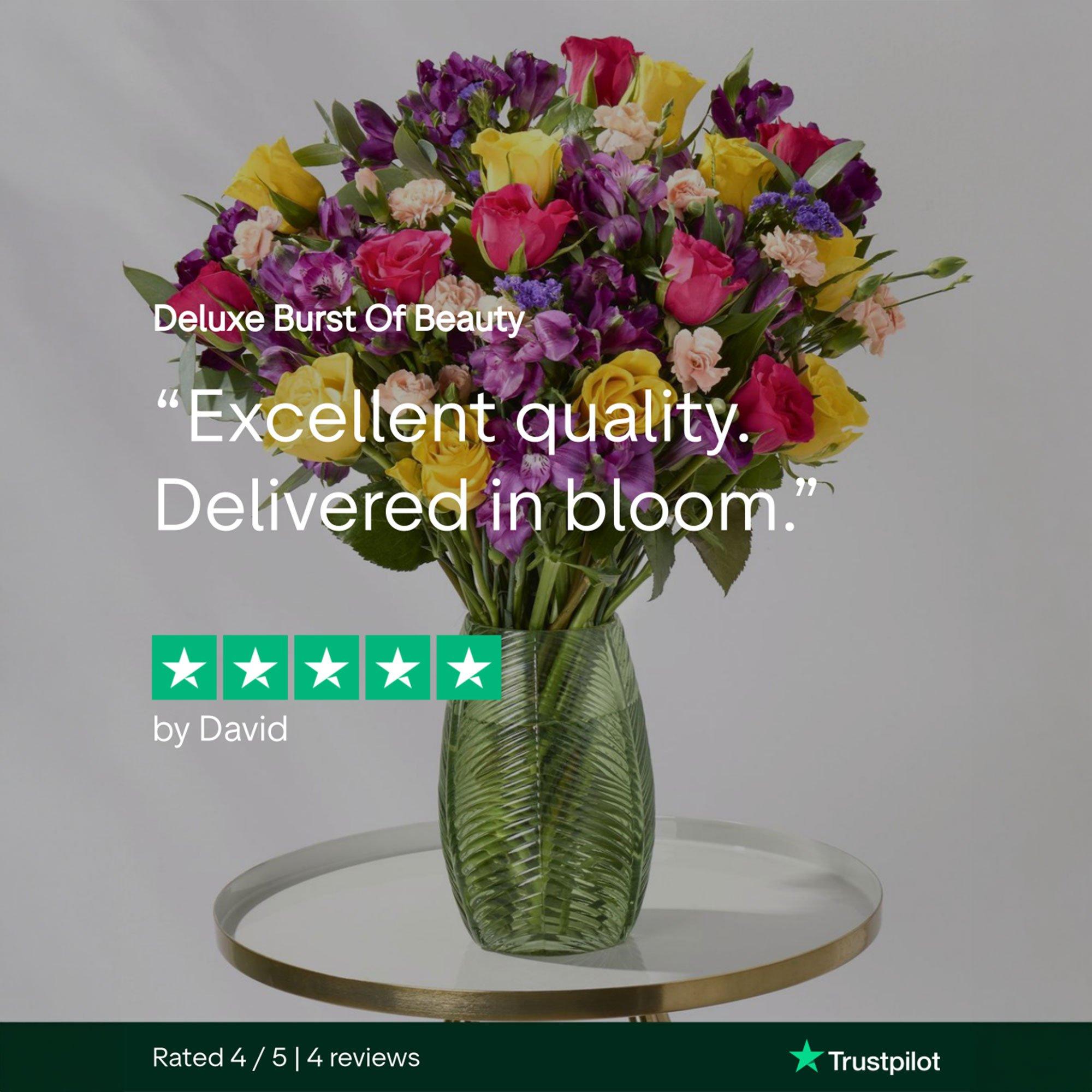 deluxe-burst-of-beauty-review