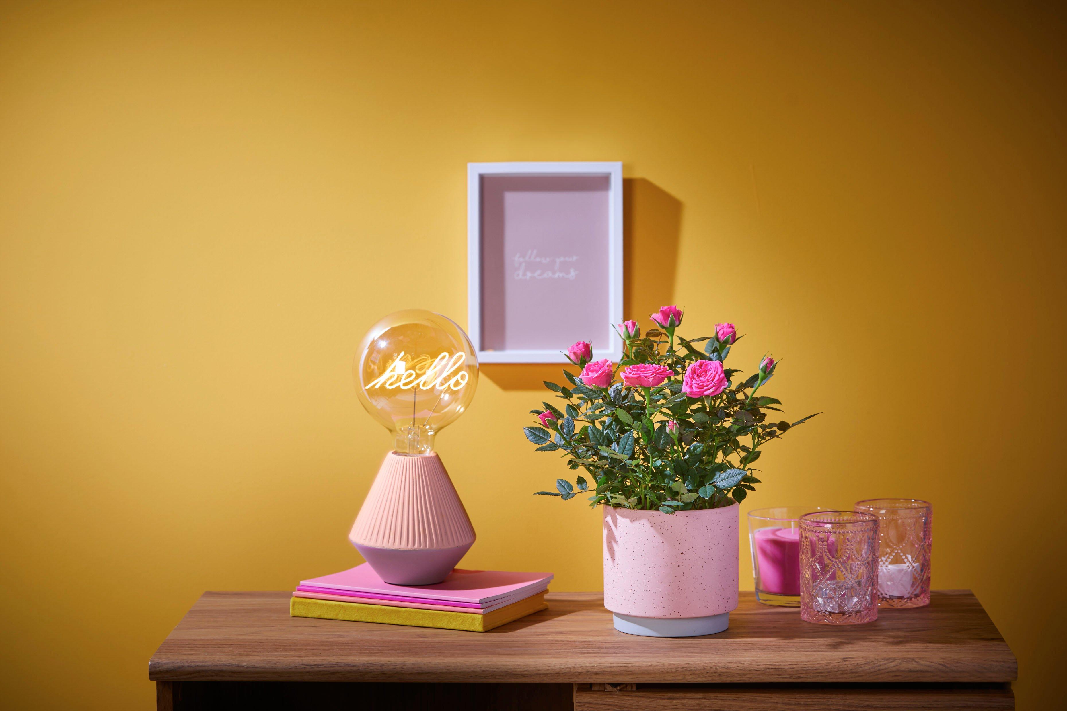 ff_FC91881P_lifestyle