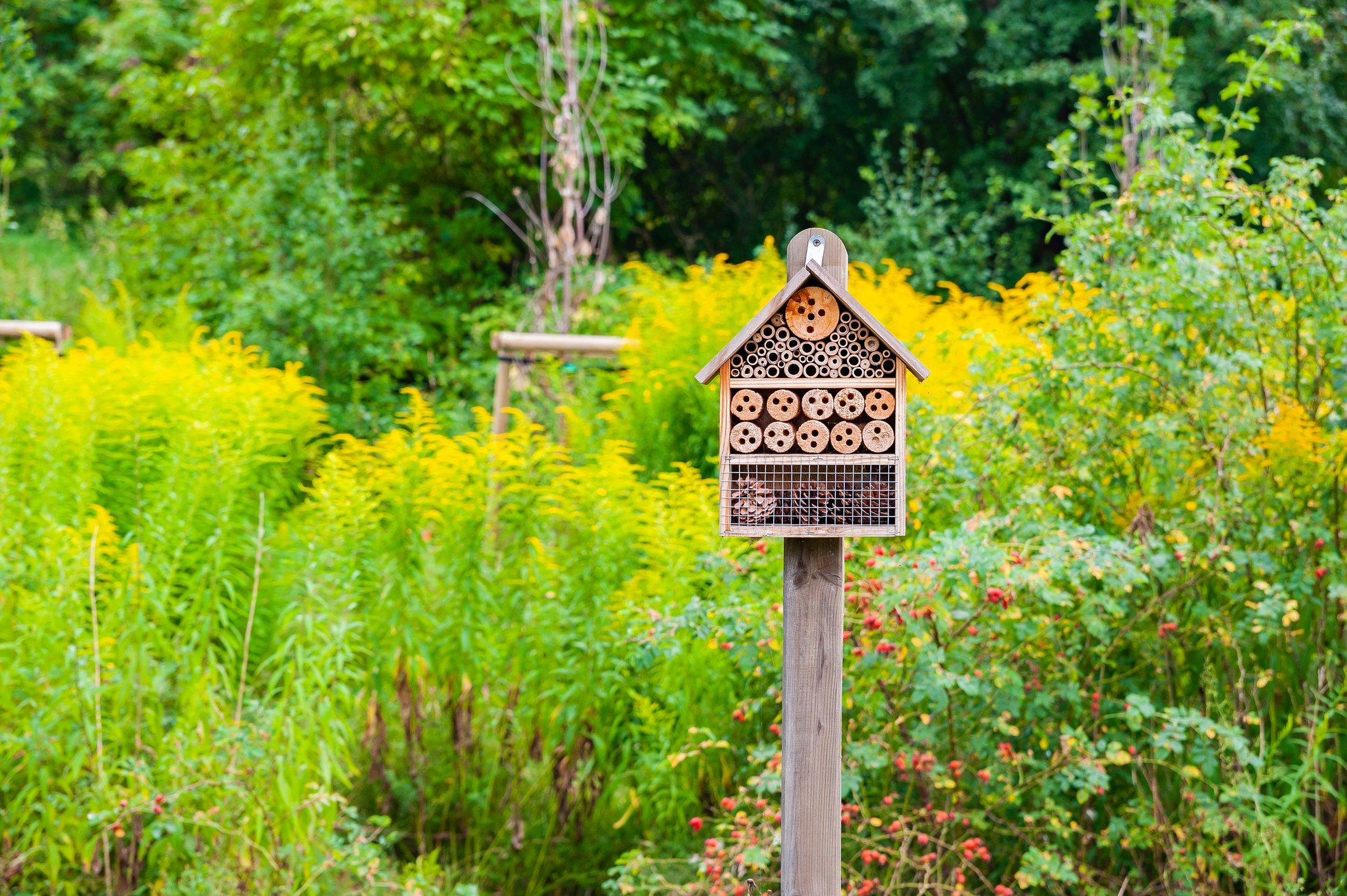 ff_bee_hotel_garden