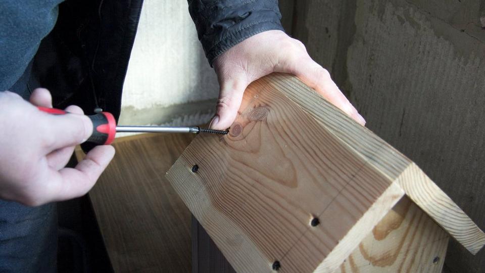 ff_building_bee_house