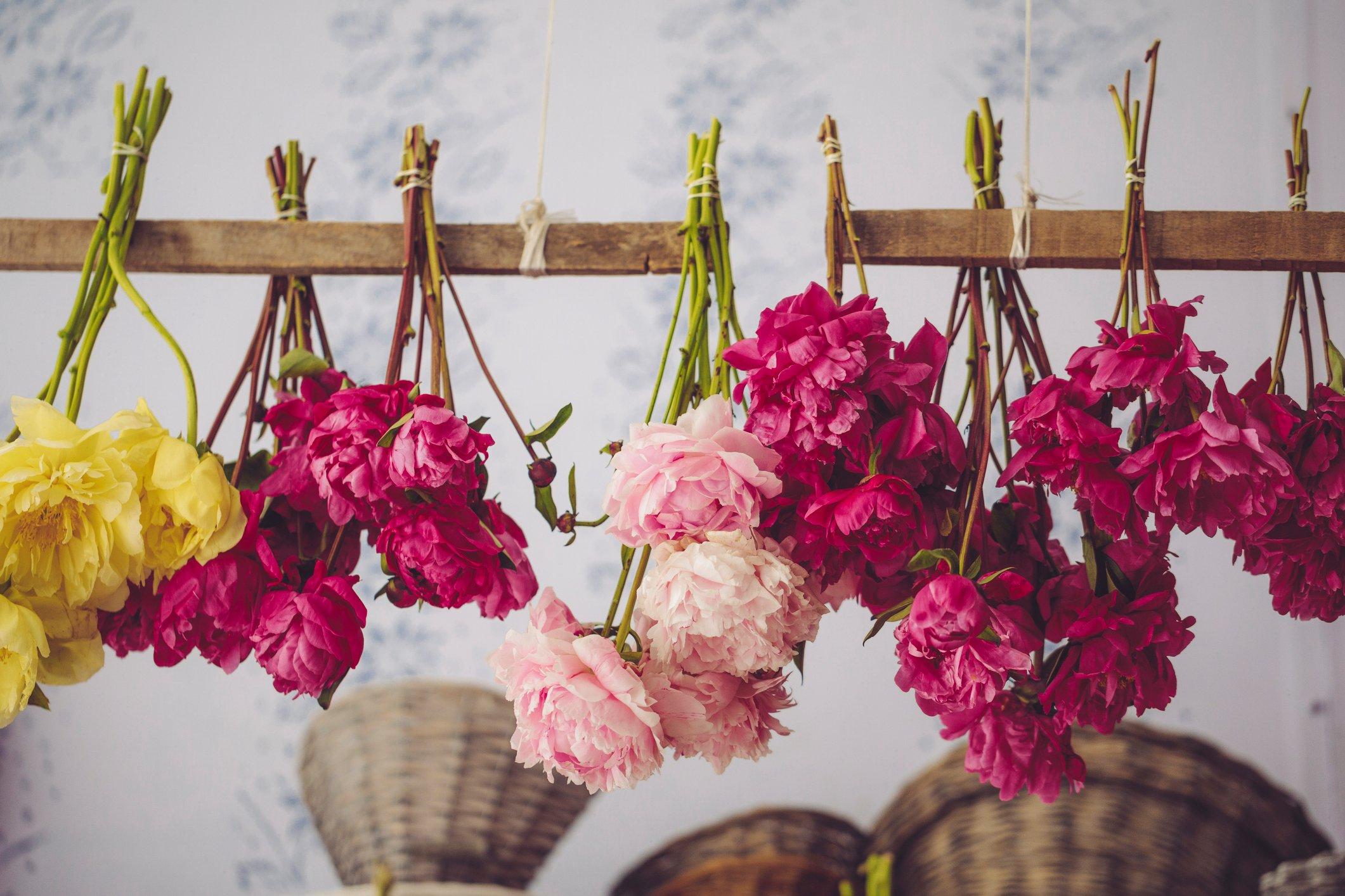 ff_drying_peonies
