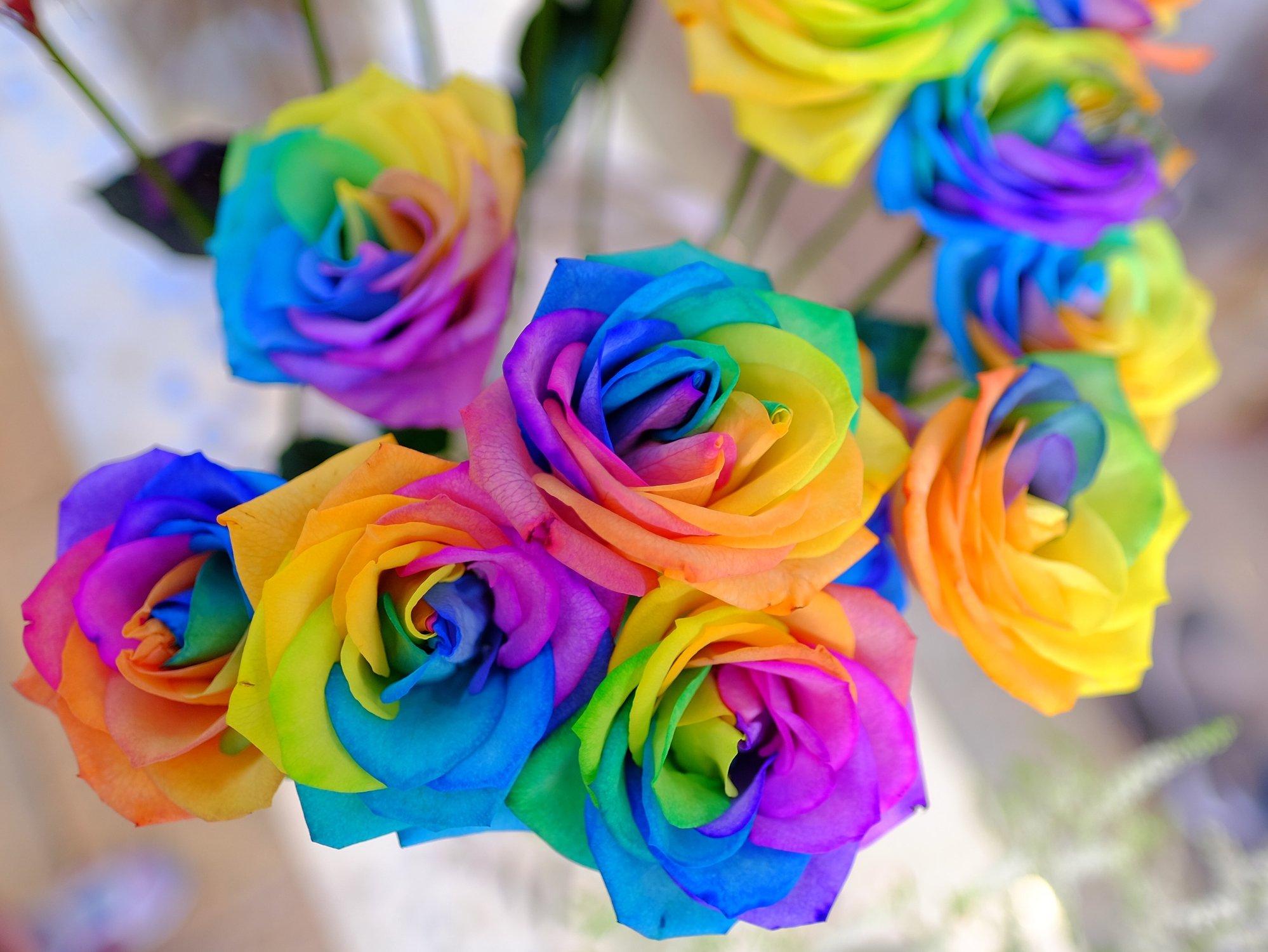 ff_rainbow_rose_bouquet