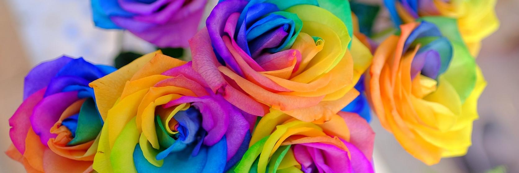 ff_rainbow_rose_bouquet