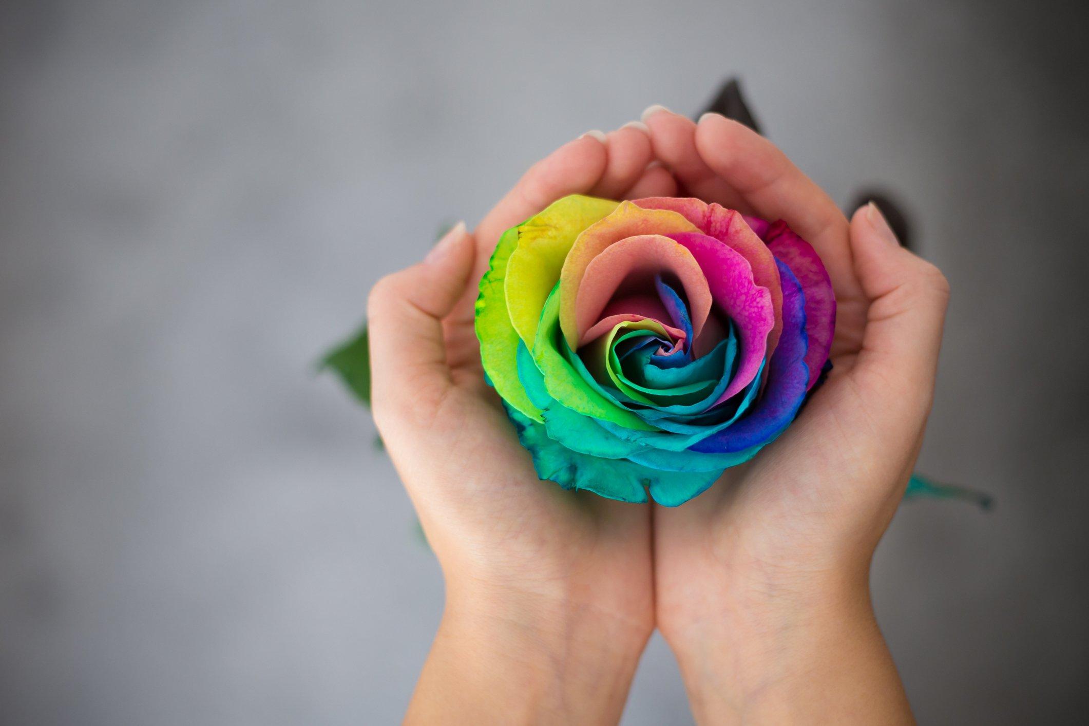 ff_rainbow_rose_hands
