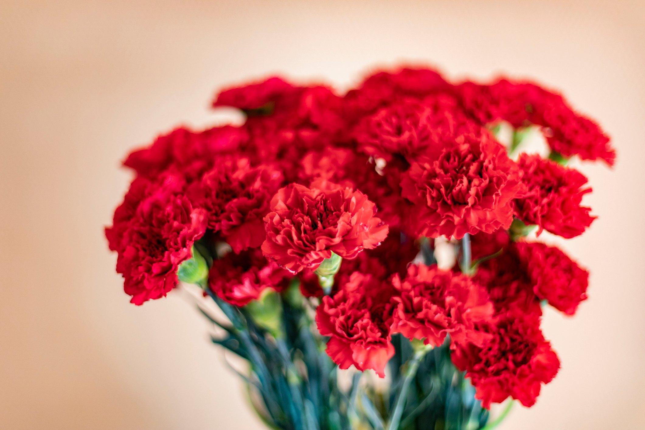 ff_red_carnations