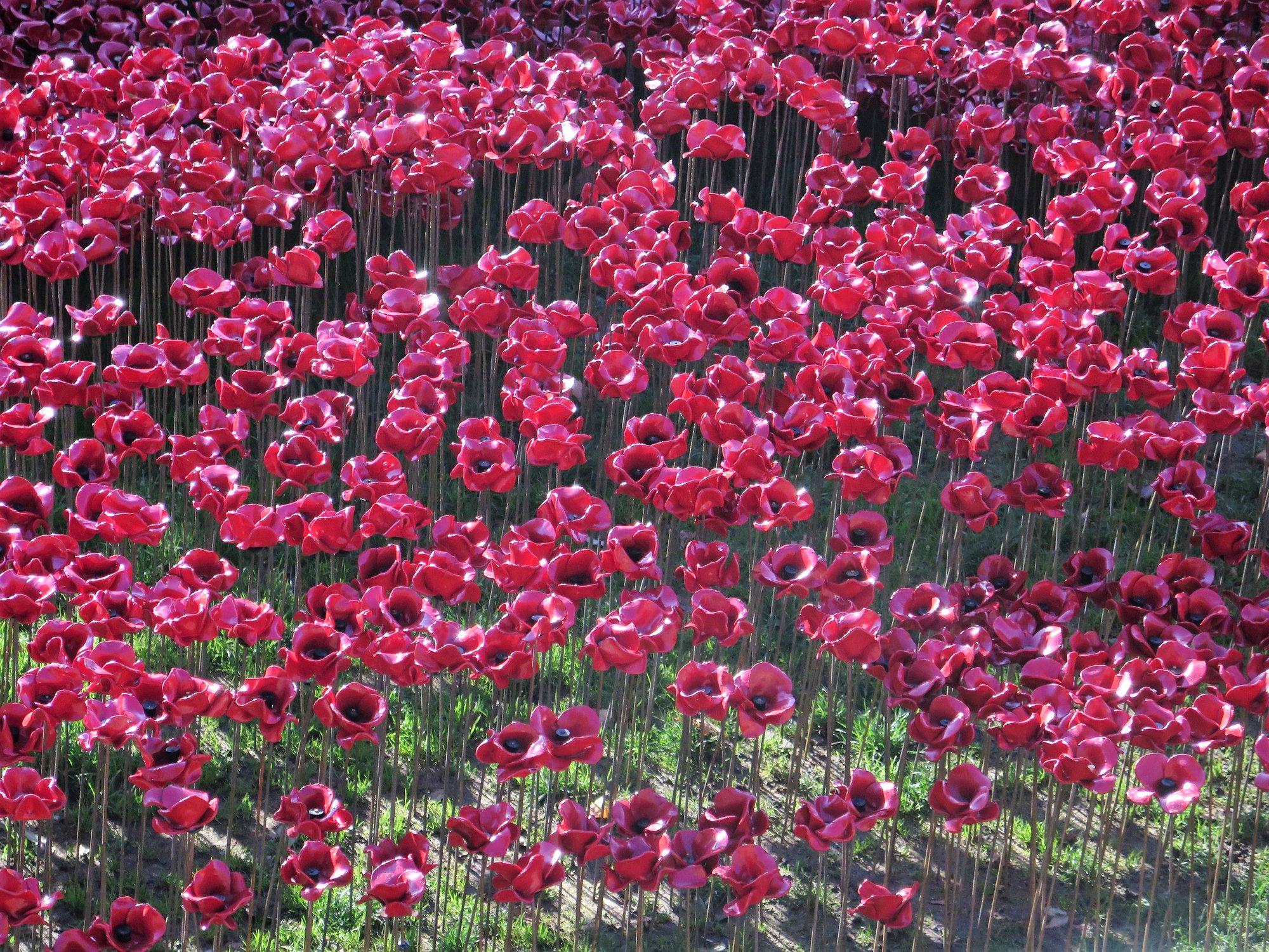 ff_tower_of_london_poppies