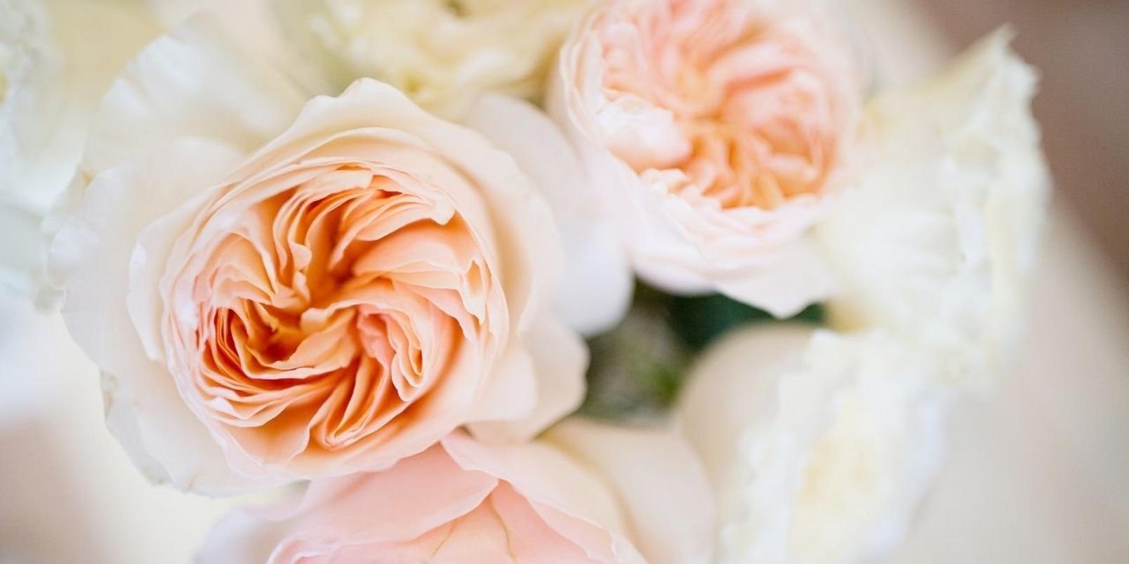 garden_roses