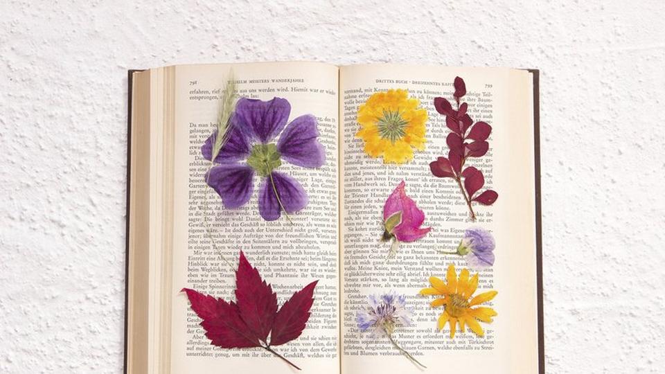 how-to-press-flower-1