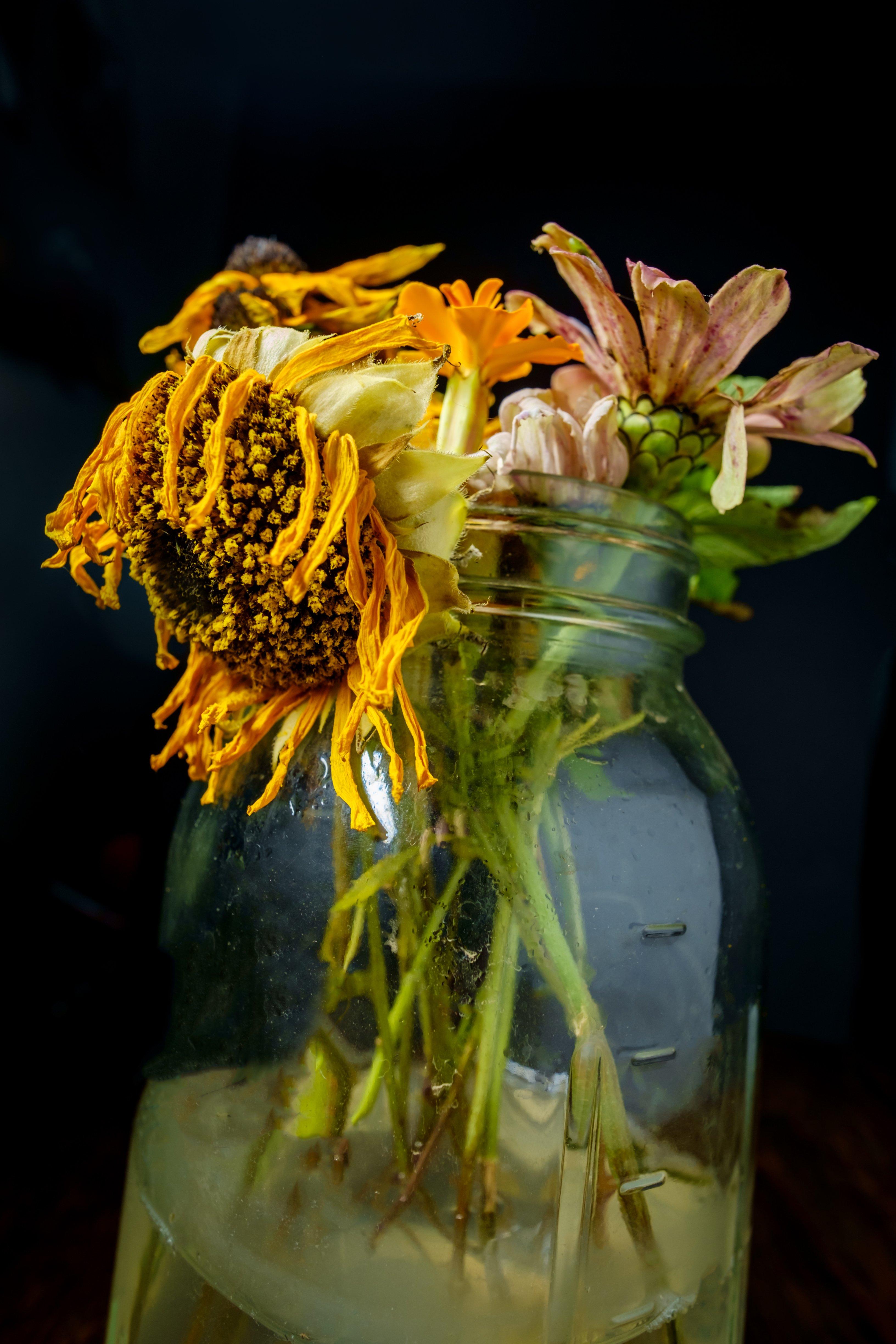 Dried sunflowers on sale