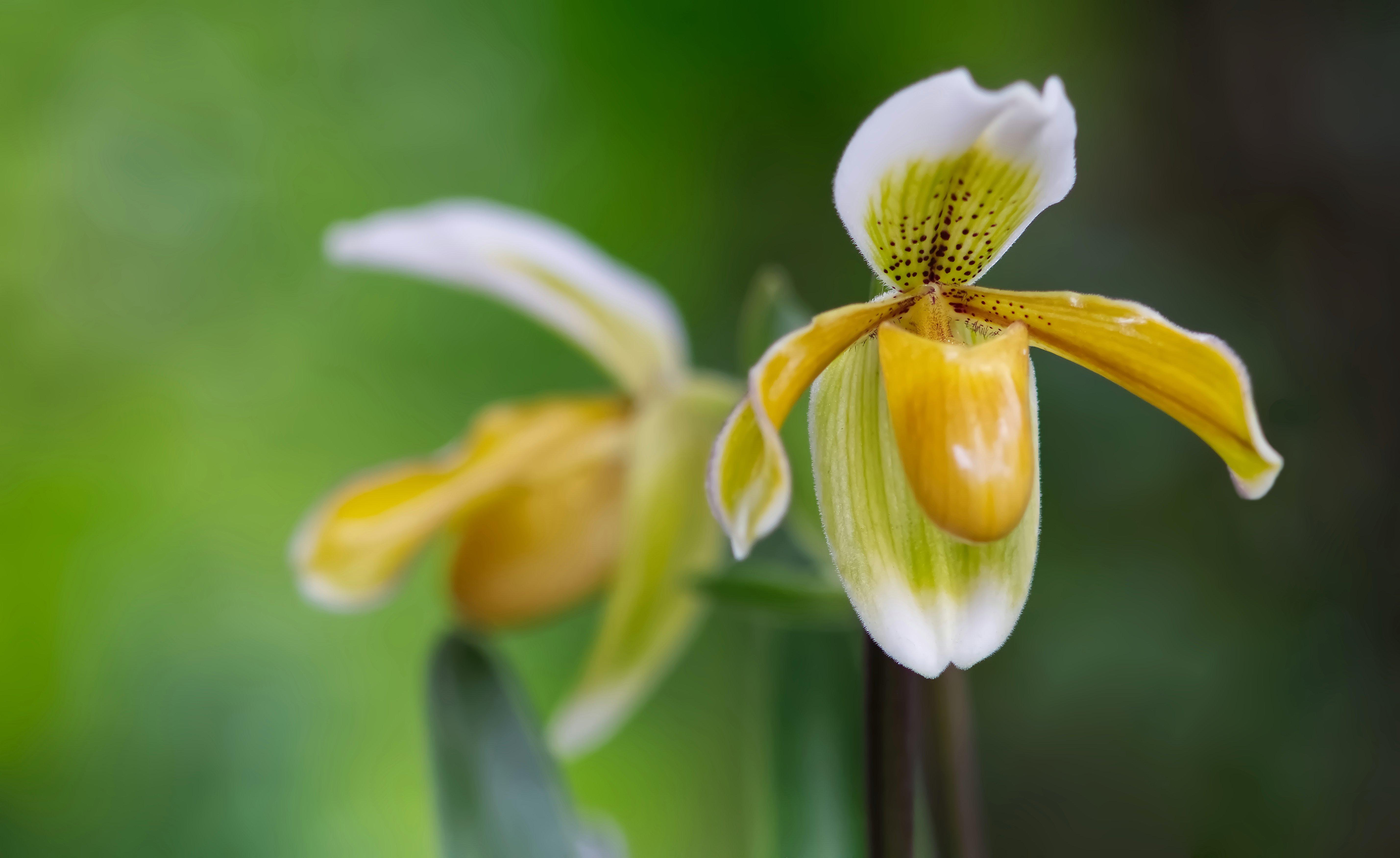 iStock-1400604754 (1)