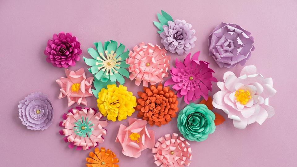iStock-637223544