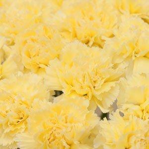 image_2021-10-18_153427