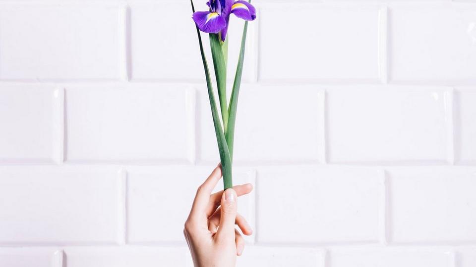 iris-stem-hold