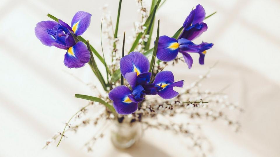 iris-vase