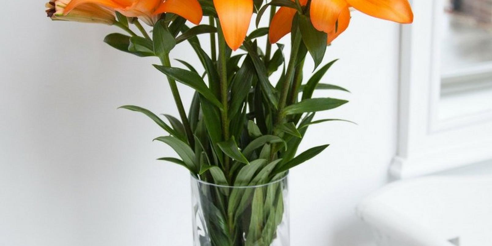 orange-lilies-in-a-vase