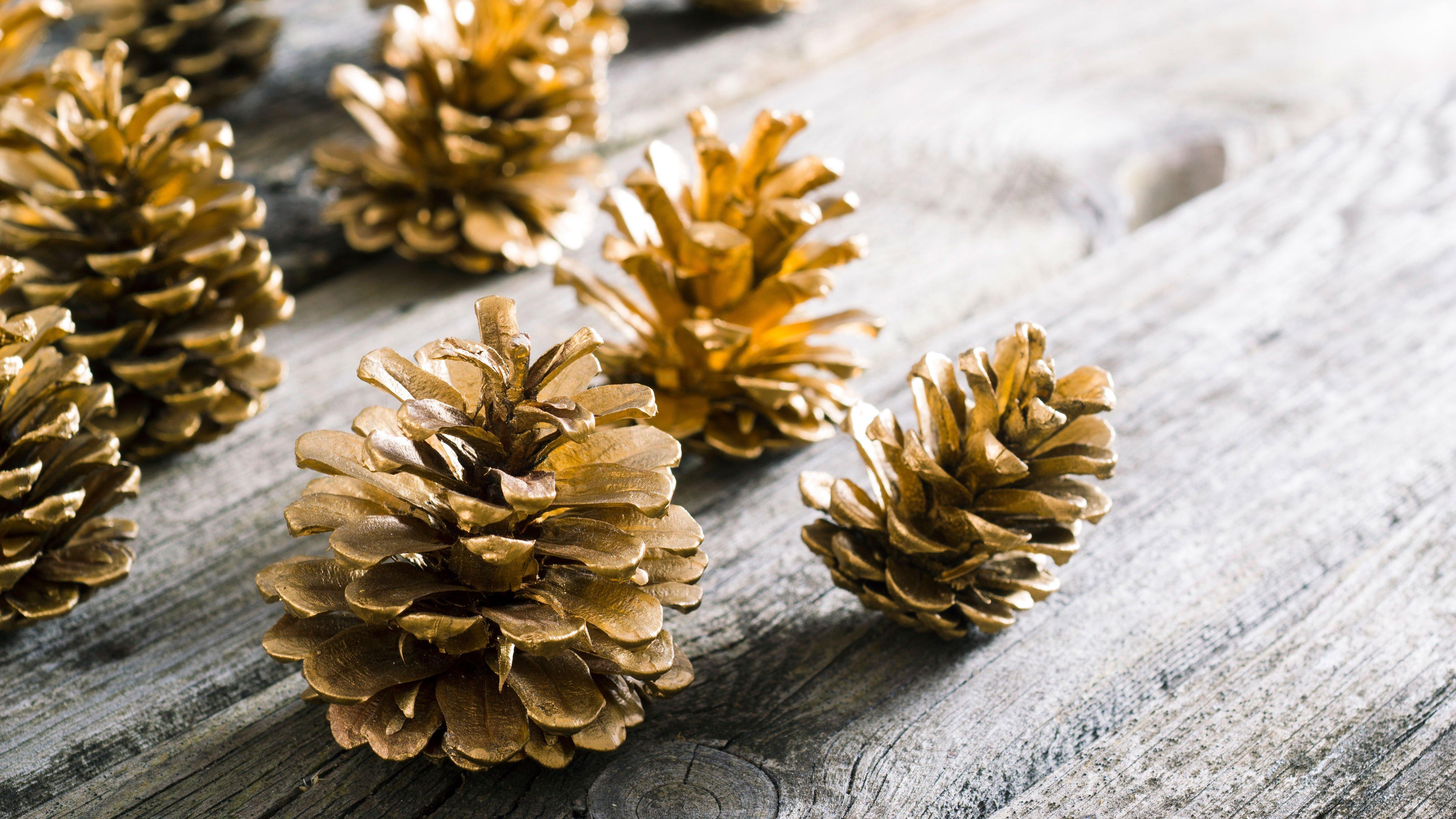 painted-pine-cones