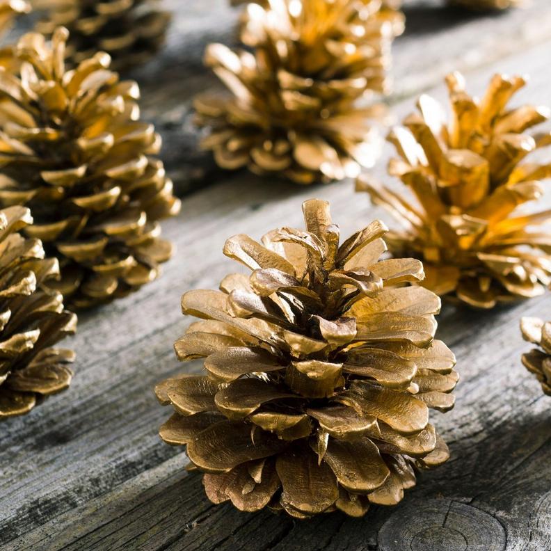 painted-pine-cones