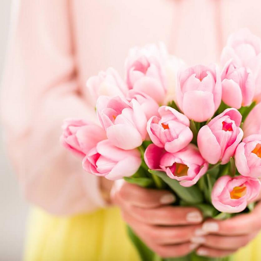 pink-tulips-ultimate-flower