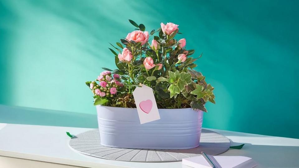 planter