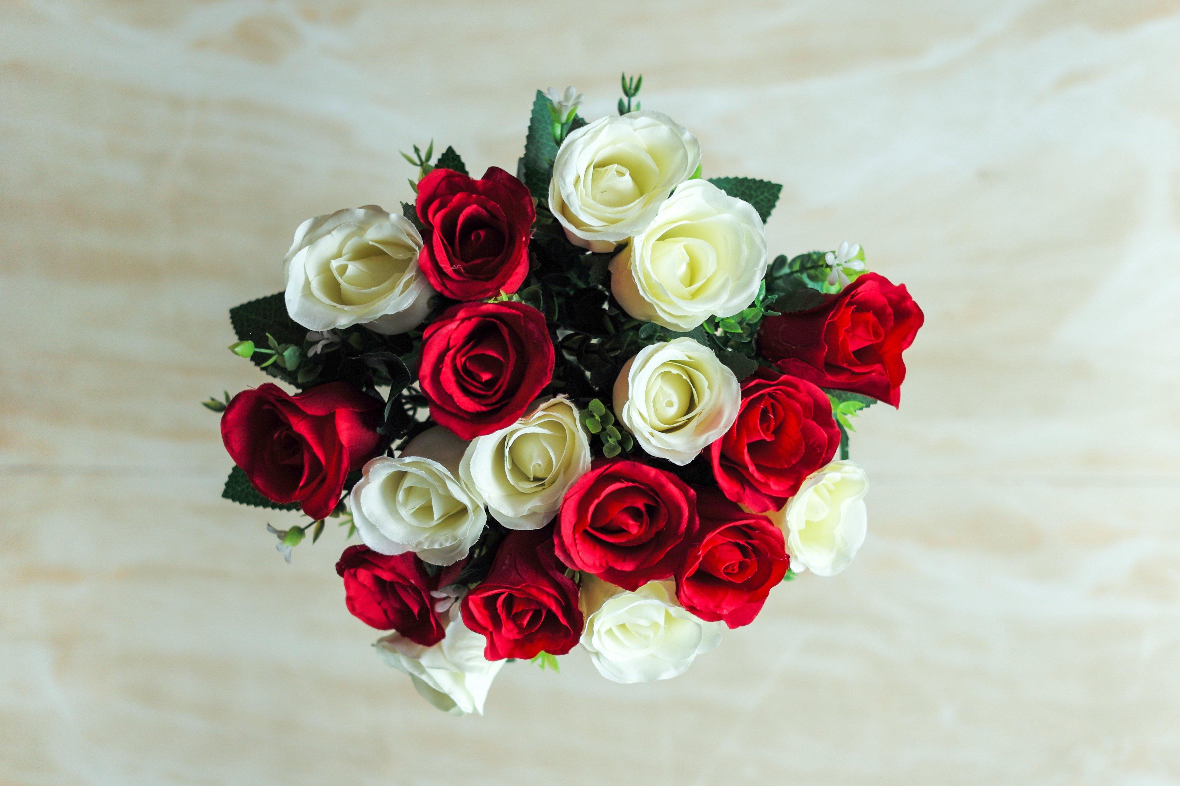 red_white_roses_ff