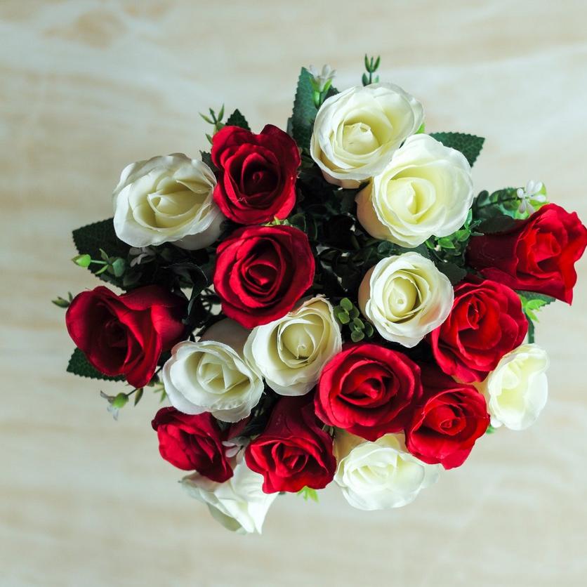 red_white_roses_ff