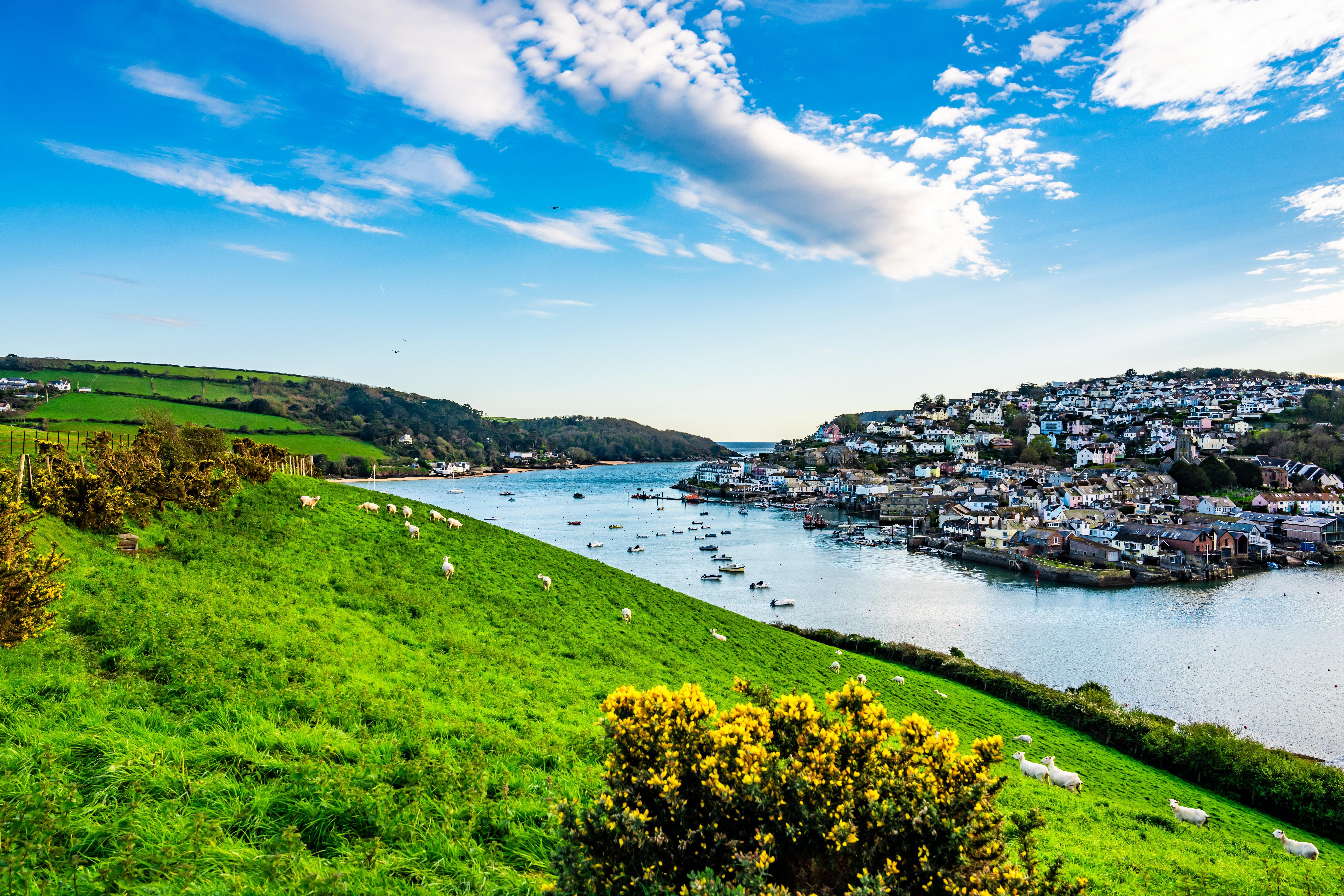 salcombe