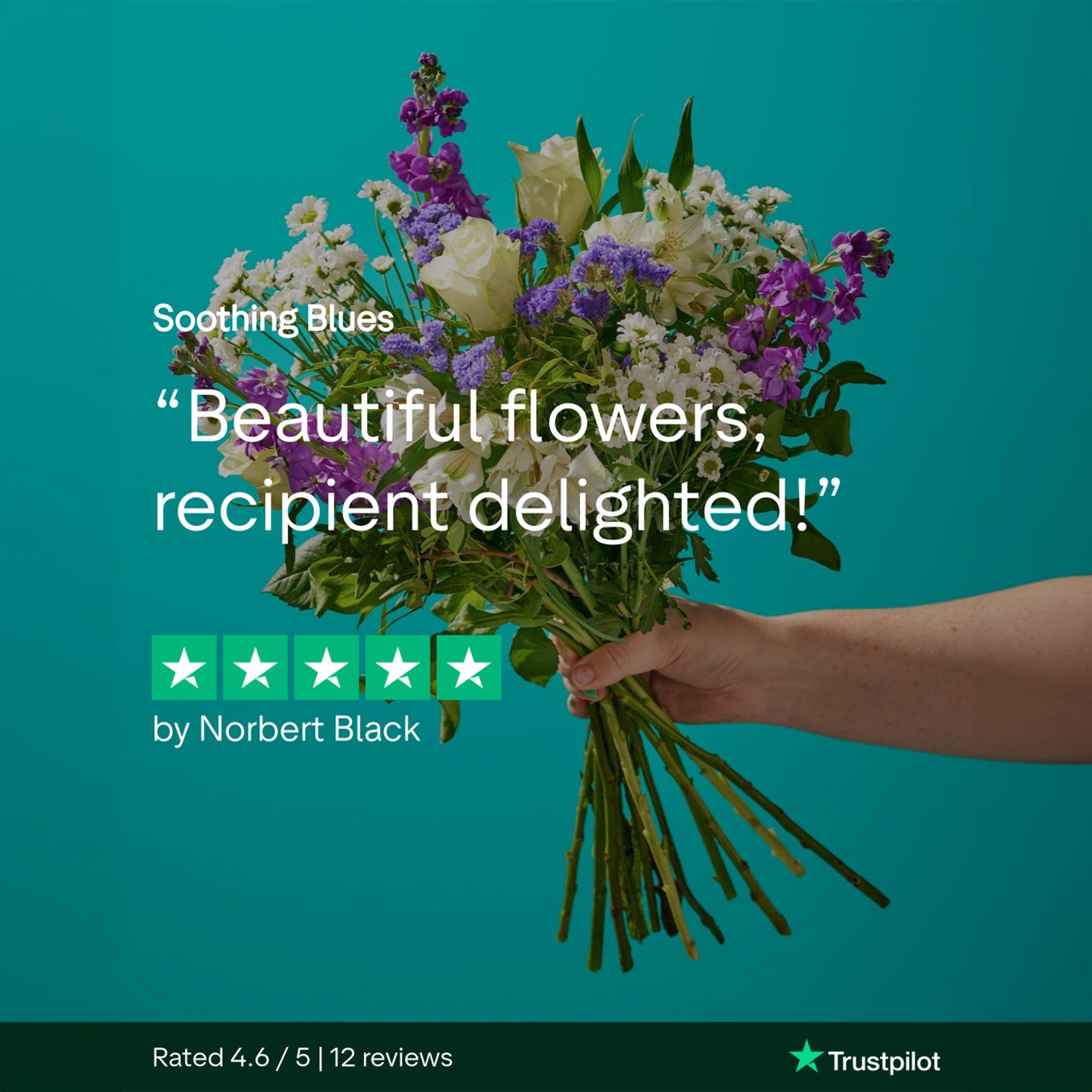 soothing-blues-review