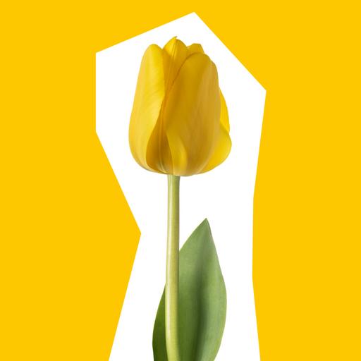 tulip-cut-out
