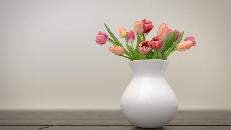 tulips-3939319_1920