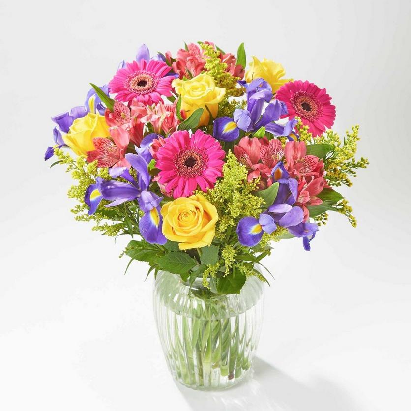 vibrant-celebration