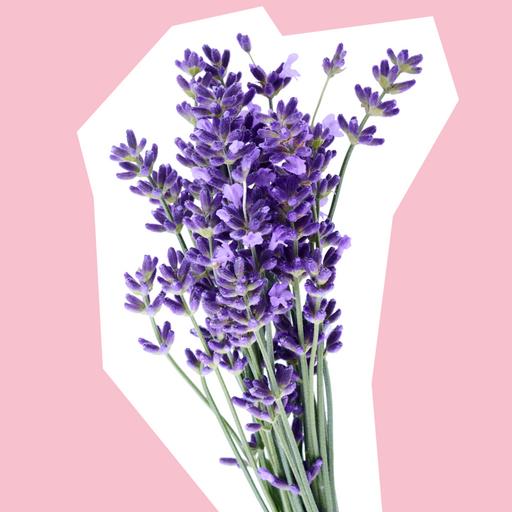 wildflower-lavender